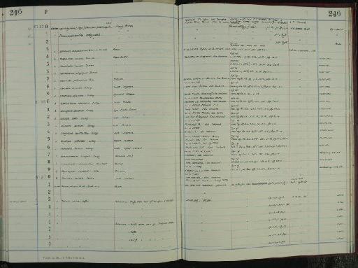 Nummodiscorbis novozealandica Hornibrook, 1961 - NHM-UK_P_DF118_04_06_0493