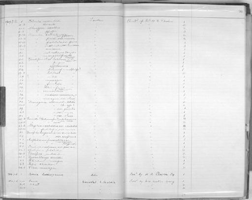 Pseudopomatias nitens Páll-Gergely, 2015 - Zoology Accessions Register: Mollusca: 1906 - 1911: page 96