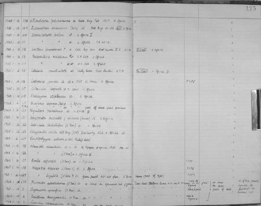 Lepralia clithridiata O'Donoghue - Zoology Accessions Register: Bryozoa: 1950 - 1970: page 175