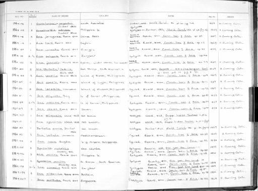 Arca barbata Linnaeus, 1758 - Zoology Accessions Register: Mollusca: 1962 - 1969: page 251
