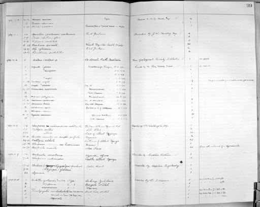 Vaginula jordani subterclass Tectipleura Simroth, 1893 - Zoology Accessions Register: Mollusca: 1925 - 1937: page 99