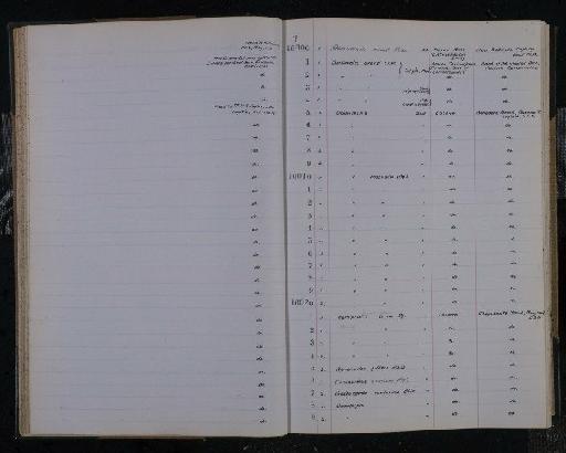 Phanerosteon ovensi White - NHM-UK_P_DF118_03_12_0045