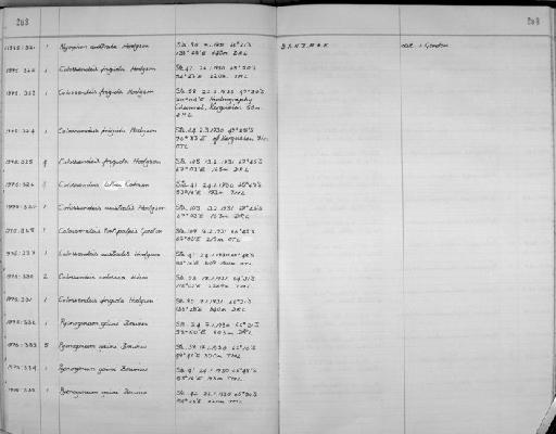 Nymphon australe Hodgson, 1902 - Zoology Accessions Register: Crustacea: 1969 - 1976: page 208