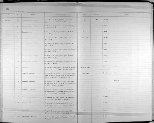 Lepidapedon desclersae Bray & Gibson, 1995 - Zoology Accessions Register: Platyhelminth: 1987 - 1993: page 113