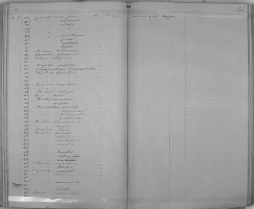 Balistes niger Park, 1794 - Zoology Accessions Register: Reptiles & Fishes: 1864 - 1877: page 145