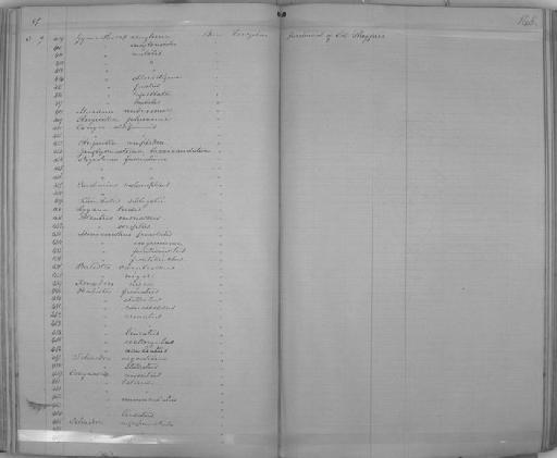 Anguilla delalandi Kaup, 1856 - Zoology Accessions Register: Reptiles & Fishes: 1864 - 1877: page 145