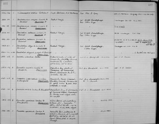 Aoroides spinosus parvorder Corophiidira Conlan & Bousfield, 1982 - Zoology Accessions Register: Crustacea: 1976 - 1984: page 237