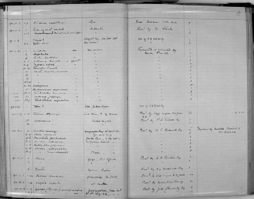 Chiton (Mopalia) muscosa - Zoology Accessions Register: Mollusca: 1911 - 1924: page 87