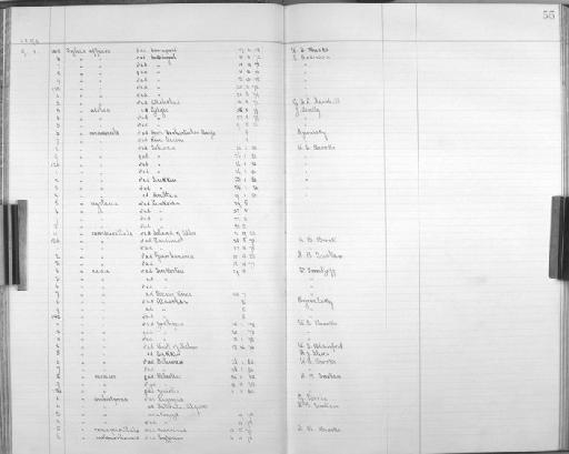 Acrocephalus baeticatus baeticatus (Vieillot, 1817) - Bird Group Collector's Register: Aves - Seebohm & Hargitt Collection: 1896 - 1898: page 55