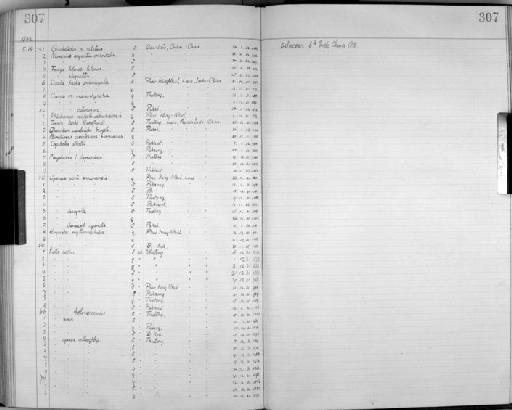 Annorhinus tickelli indochinensis - Zoology Accessions Register: Aves (Skins): 1929 -1932: page 307