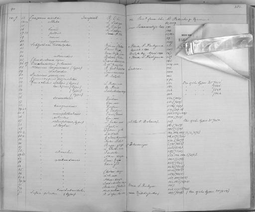 Schizothorax chrysochlora - Zoology Accessions Register: Reptiles & Fishes: 1878 - 1892: page 384