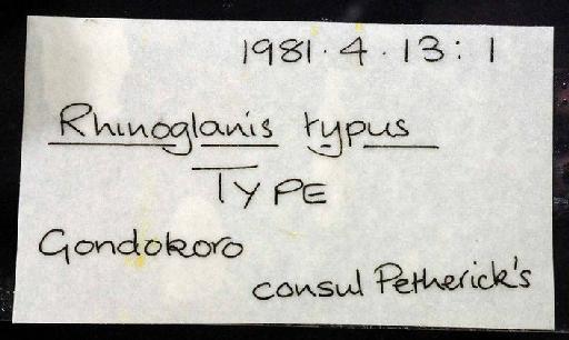 Rhinoglanis typus Günther, 1864 - 1981.4.13.1; Rhinoglanis typus; image of jar label; ACSI project image