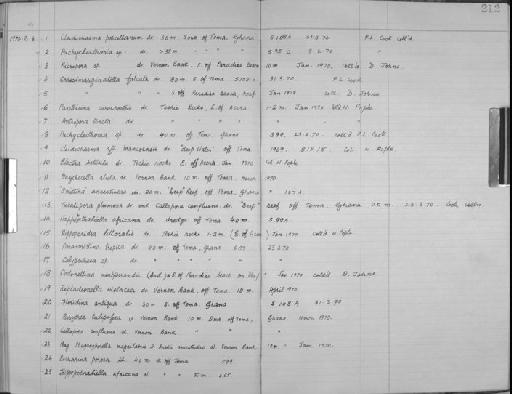 Electra bellula (Hincks, 1881) - Zoology Accessions Register: Bryozoa: 1950 - 1970: page 212