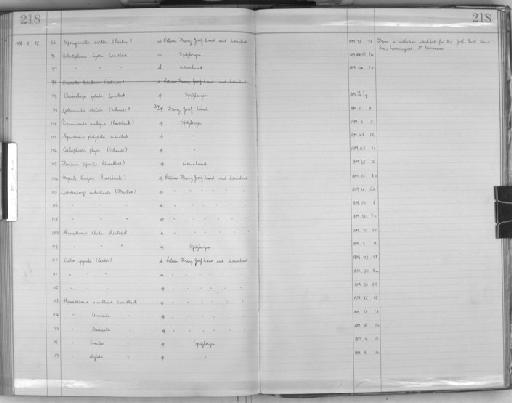 Asbestopluma hydra Lundbeck, 1905 - Zoology Accessions Register: Spongiida: 1929 - 1938: page 218