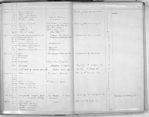 Cypraea thomasi Crosse, 1865 - Zoology Accessions Register: Mollusca: 1900 - 1905: page 97