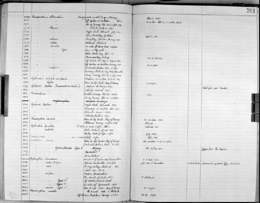 Paradoxostoma obliquum Sars, 1866 - Zoology Accessions Register: Crustacea - Norman Collection: 1911: page 281