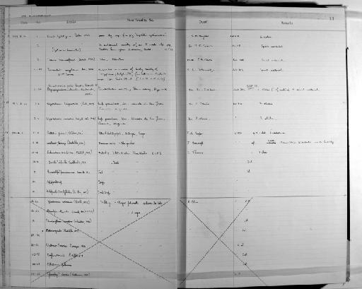 Hymenolepis paramicraema Cnsowska, 1931 - Zoology Accessions Register: Platyhelminth: 1971 - 1981: page 11 (image/jpeg)