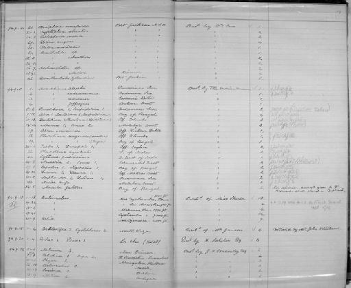 Conus Linnaeus, 1758 - Zoology Accessions Register: Mollusca: 1894 - 1899: page 14