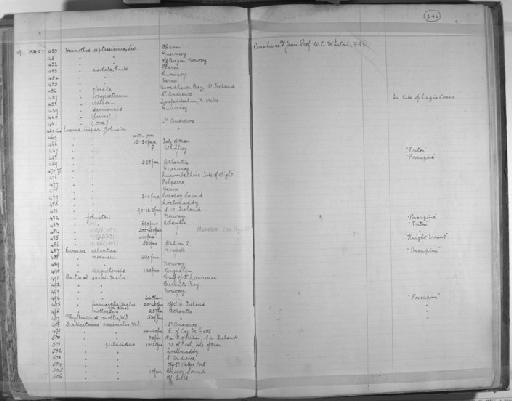Harmothoe watsoni - Zoology Accessions Register: Annelida & Echinoderms: 1884 - 1923: page 246