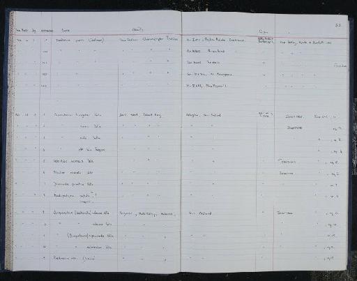 Notorotalia inornata Vella, 1957 - NHM-UK_P_DF118_04_14_0109