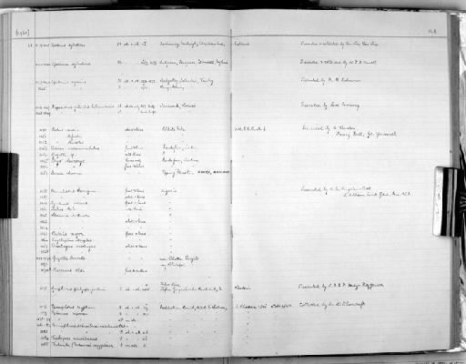 Dama dama Linnaeus, 1758 - Zoology Accessions Register: Mammals: 1952 - 1964: page 148