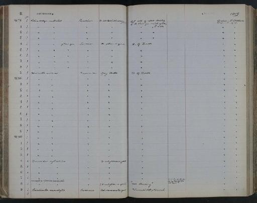 Camerogalerus cylindricus Lamarck, 1816 - NHM-UK_P_DF118_02_52_0093