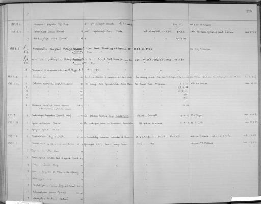 Hanaiceratina arenacea arenacea McKenzie - Zoology Accessions Register: Crustacea (Entomostraca): 1963 - 1982: page 126