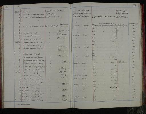 Lingulina tauera pupa (Terquem) - NHM-UK_P_DF118_04_05_0153