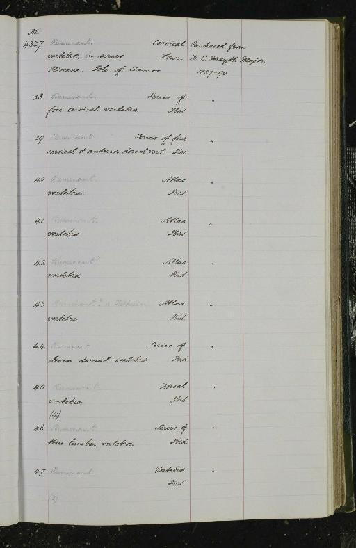 Ruminantia Scopoli, 1777 - NHM-UK_P_DF118_03_30_0185