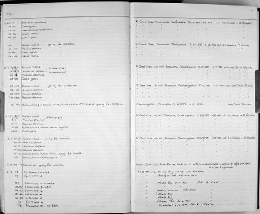 Hybrids alburnus x rutilus - Zoology Accessions Register: Fishes: 1986 - 1994: page 4