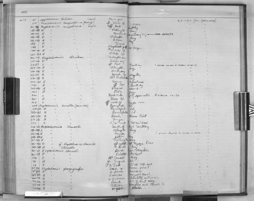 Haplochromis empodisma Greenwood, 1960 - Zoology Accessions Register: Fishes: 1937 - 1960: page 210