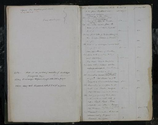 Sus Linnaeus, 1758 - NHM-UK_P_DF118_03_03_0005