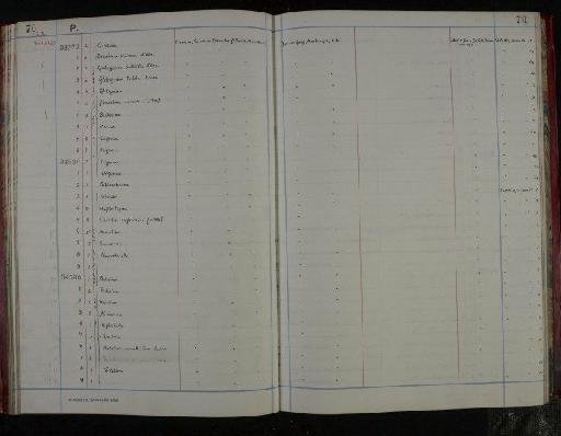 Globorotalia menardii (d'Orbigny) - NHM-UK_P_DF118_04_05_0145