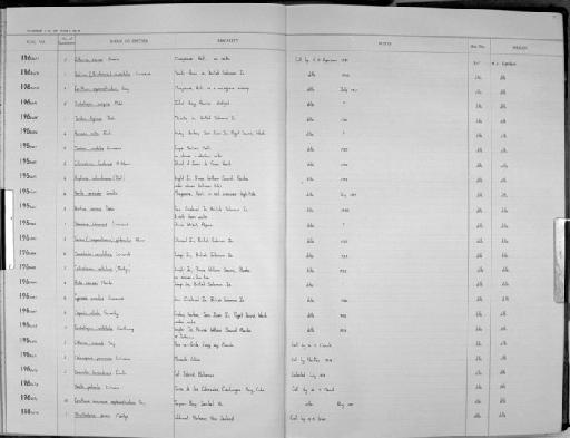 Cerithium minimum septemstriatum Say - Zoology Accessions Register: Mollusca: 1962 - 1969: page 27