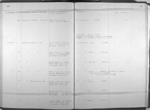 Bathydrilus atlanticus Erseus - Zoology Accessions Register: Annelida: 1971 - 1983: page 157