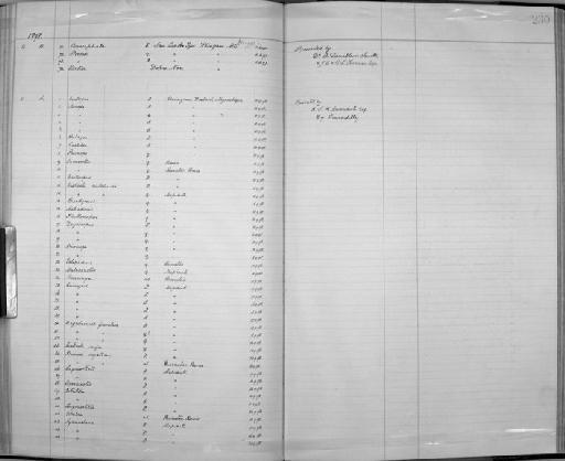 Turdoides jardineii kirki - Zoology Accessions Register: Aves (Skins): 1896 -1900: page 230