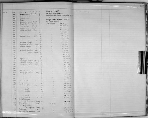 Desmacidon minor Dendy, 1916 - Zoology Accessions Register: Spongiida: 1918 - 1928: page 92