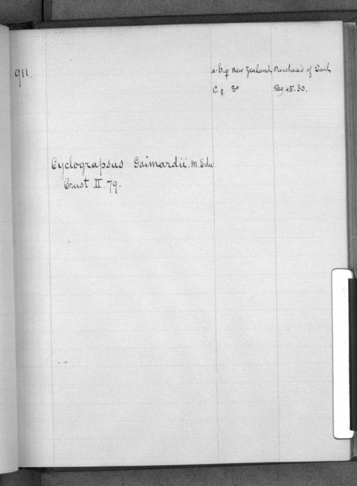 Cyclograpsus gaimardii subsection Thoracotremata section Eubrachyura H. Milne Edwards, 1837 - Zoology Accessions Register: White's Catalogue of Crustacea III: page 911