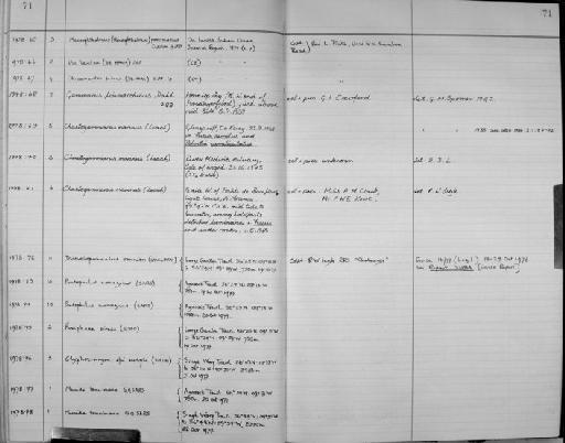 Pontophilus norvegicus (M. Sars, 1861) - Zoology Accessions Register: Crustacea: 1976 - 1984: page 71