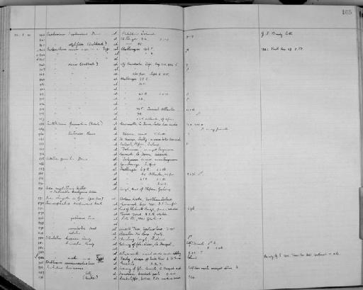 Sida elongata parvorder Cladoceromorpha G.O. Sars, 1865 - Zoology Accessions Register: Crustacea (Entomostraca): 1938 - 1963: page 105