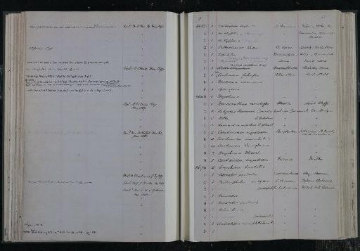 Nemacanthus monilifer infraphylum Gnathostomata Davis, 1881 - NHM-UK_P_DF118_03_10_0099