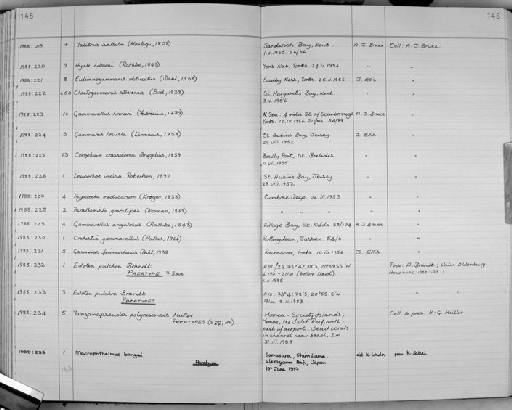 Edotea pulchra Brandt - Zoology Accessions Register: Crustacea: 1984 - 1991: page 148