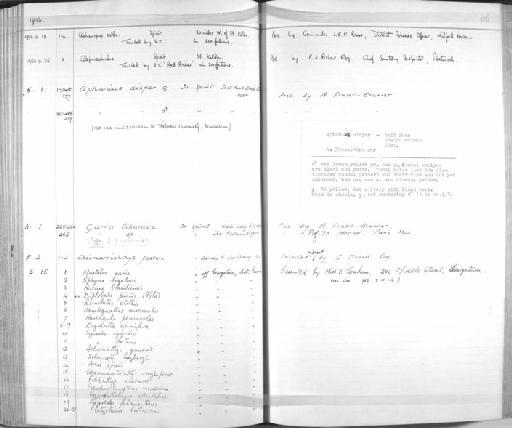 Engraulis spinifera - Zoology Accessions Register: Fishes: 1937 - 1960: page 116