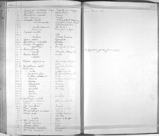 Harengula venenosa punctata - Zoology Accessions Register: Fishes: 1912 - 1936: page 271