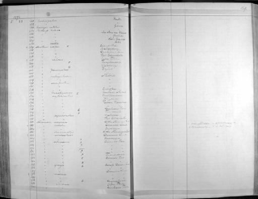 Mirafra apiata damarensis Sharpe, 1875 - Zoology Accessions Register: Aves (Skins): 1874 -1880: page 169