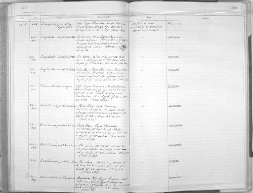 Oncholaimus problematicus Coles, 1977 - Zoology Accessions Register: Aschelminth N3: 1954 - 1977: page 200