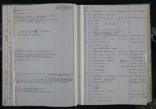 Leptolepis normandica Nybelin, 1962 - NHM-UK_P_DF118_03_10_0029