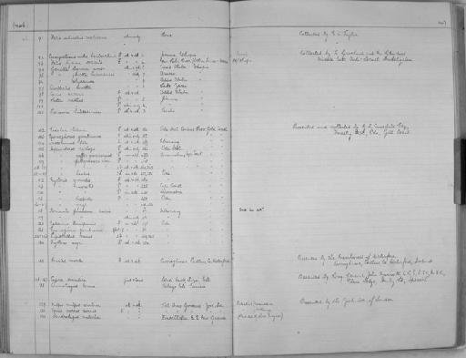 Hipposideros ruber guineensis - Zoology Accessions Register: Mammals: 1937 - 1951: page 147