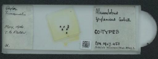 Orientaleyrodes zeylanicus Corbett, 1926 - 010165403_117723_1092267