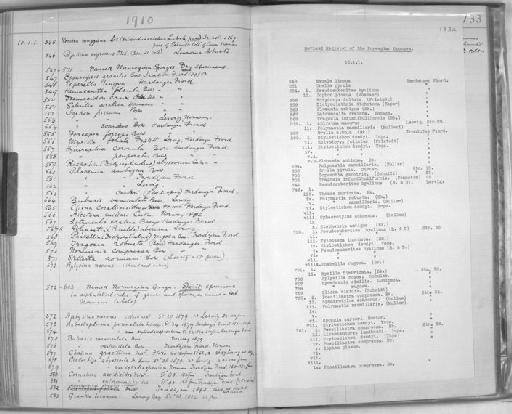 Asbestopluma pennatula (Schmidt, 1875) - Zoology Accessions Register: Spongiida & Protozoa: 1887 - 1918: page 133